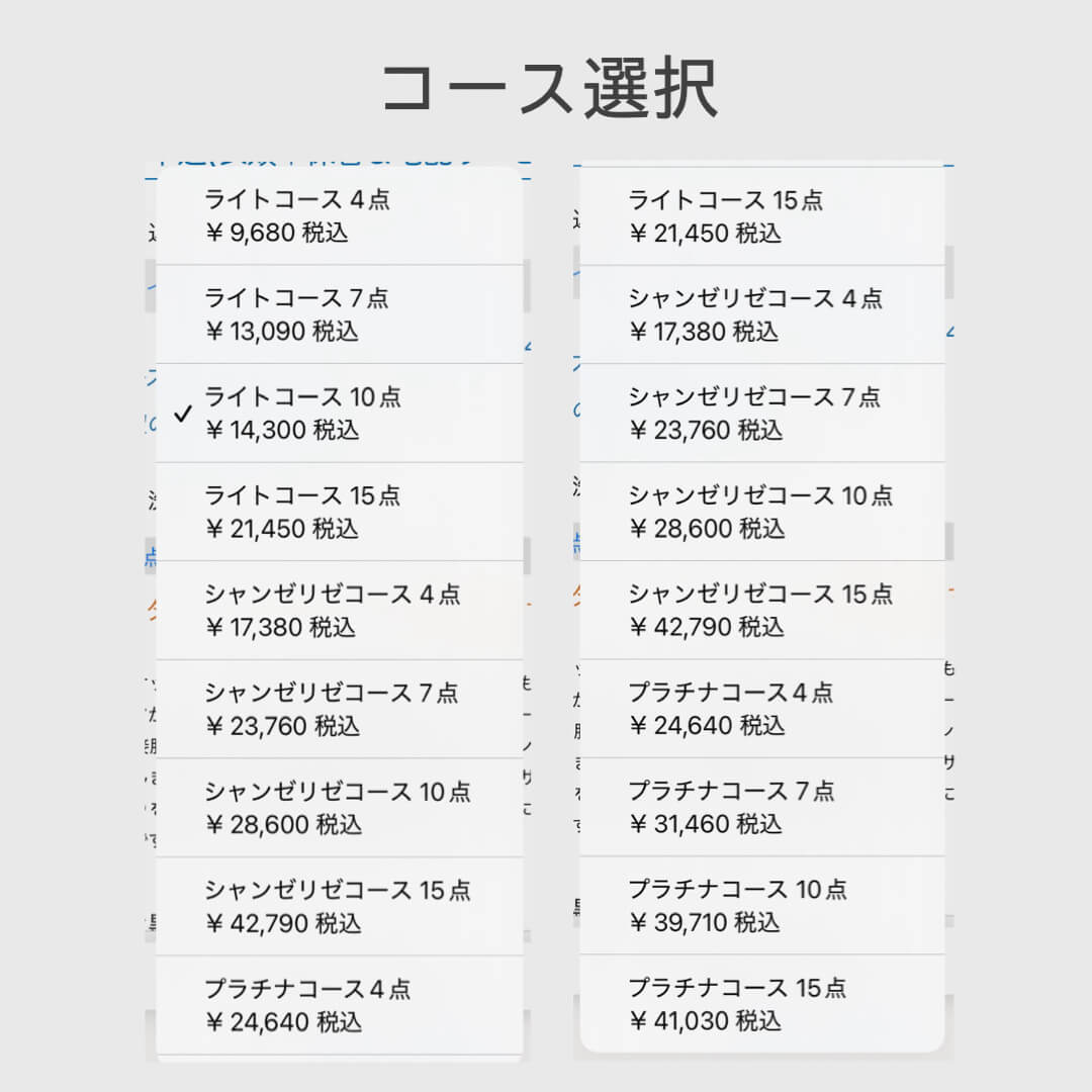 ポニークリーニングのコース選択