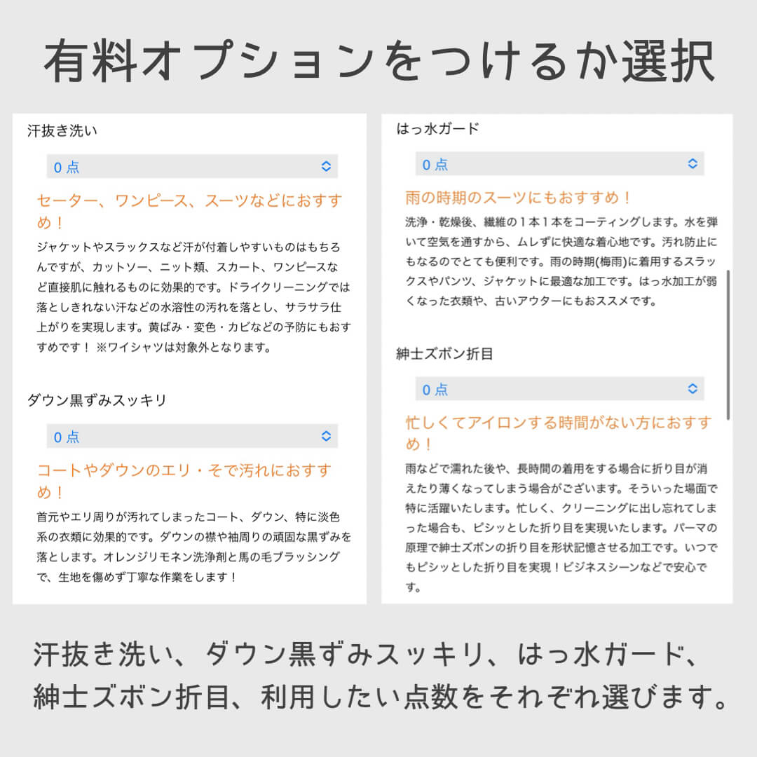 有料オプションをつけるか選択